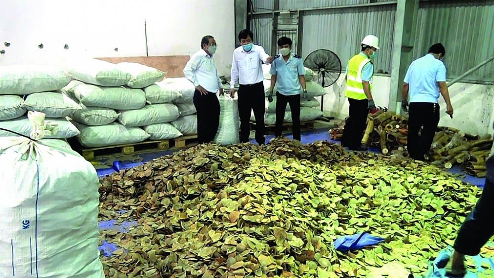 Container chứa vẩy tê tê do lực lượng Hải quan phát hiện tại Đà Nẵng. 	Ảnh: Ngọc Linh