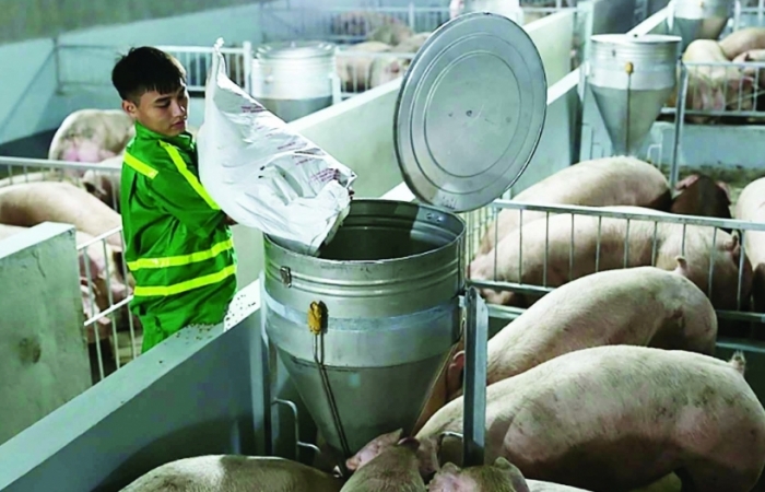 Bộ Công Thương lập Đoàn kiểm tra liên ngành mặt hàng thịt lợn