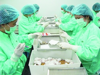Kỳ vọng vào vắc xin Covid-19 “made in Vietnam"