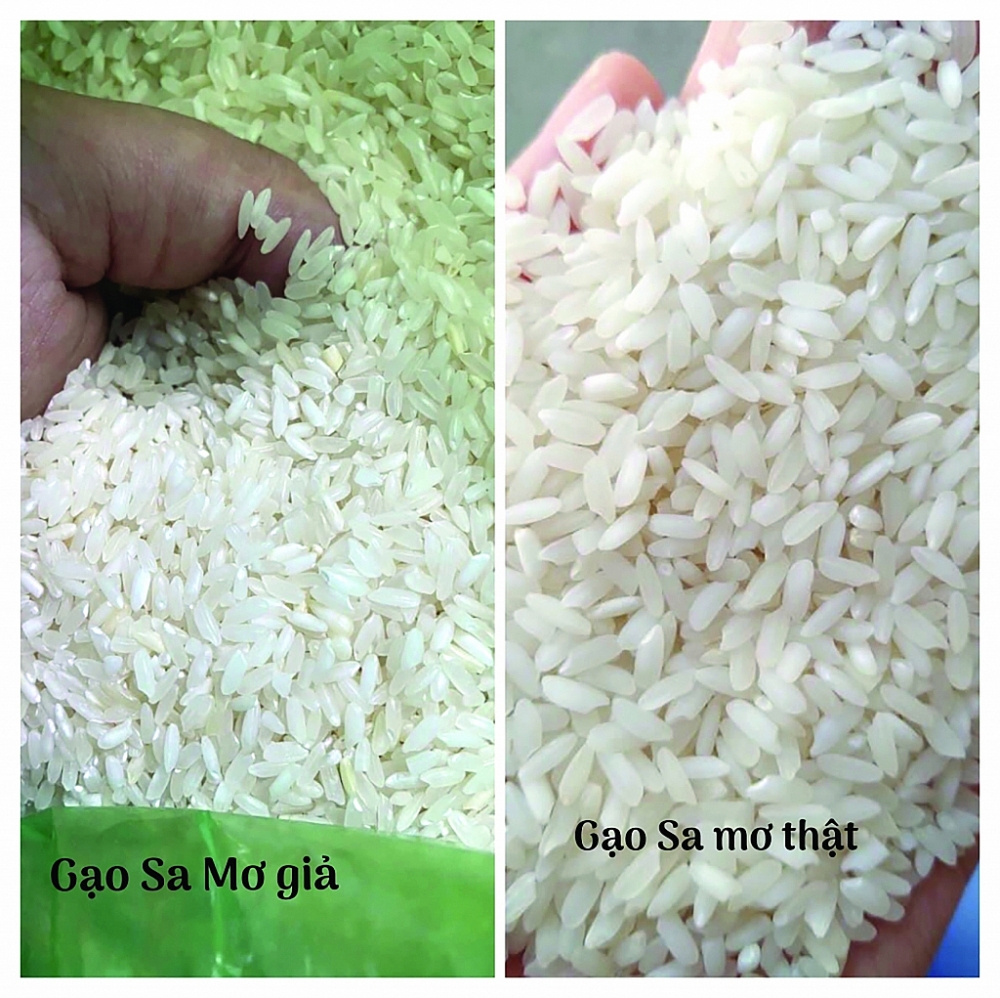 Làm rõ dấu hiệu gian lận xuất xứ gạo Việt Nam