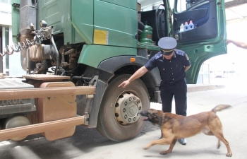 Chủ động nhiều phương án chặn hàng lậu, hàng cấm qua cửa khẩu quốc tế Cầu Treo