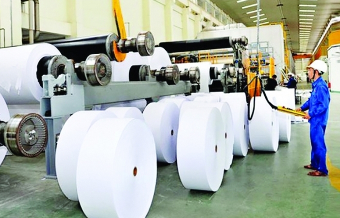 Doanh nghiệp giấy tăng đầu tư, kỳ vọng xuất khẩu từ FTA