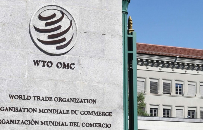Cơ hội để WTO phục hồi thương mại toàn cầu