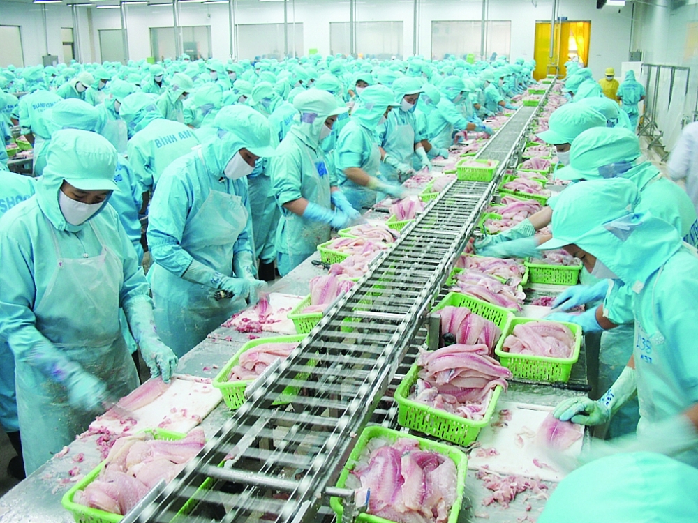 Thủy sản là một trong những ngành hàng điển hình hưởng lợi ngay sau khi Hiệp định UKVFTA có hiệu lực. 	Ảnh: Nguyễn Thanh