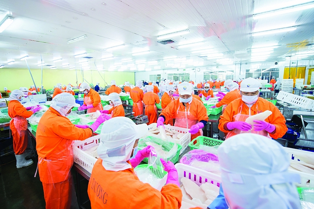 Chế biến thủy sản xuất khẩu tại Công ty Nam Việt. 	Ảnh: DN cung cấp