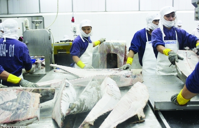 Xuất khẩu cá ngừ sang thị trường Trung Quốc tăng 3 lần