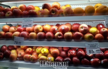 Nhiều loại trái cây nhập khẩu giảm giá mạnh