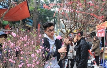 Hà Nội cấm đường phục vụ chợ hoa Xuân khu phố cổ Hoàn Kiếm