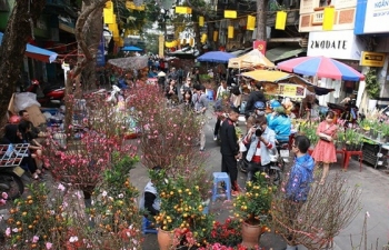 51 điểm chợ hoa Xuân phục vụ Tết Canh Tý tại Hà Nội