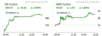 don song dau nam vn index tang hon 16 diem