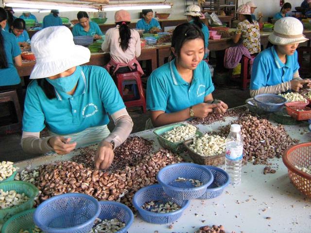 giai phap nang gia tri nong san xuat khau