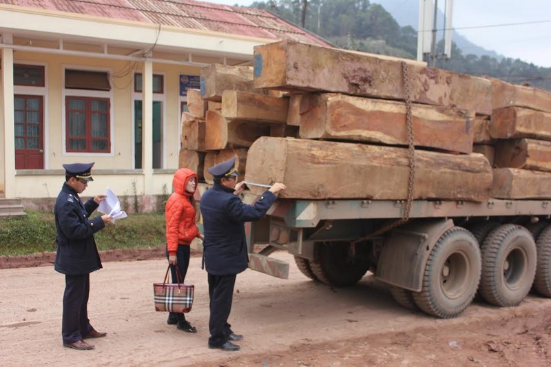 Bộ Tài chính phản hồi về thông tin ùn ứ gỗ NK tại cửa khẩu La Lay