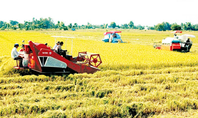 Nông sản có “lực đẩy” tăng năng lực cạnh tranh