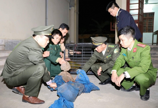 hai quan ha tinh phoi hop bat 2 doi tuong van chuyen dong vat hoang da