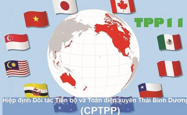 lieu cptpp co the can dich