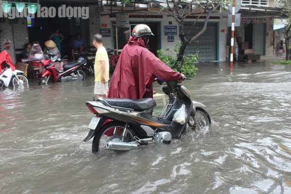 bac lieu ca mau ngap ky luc do anh huong bao so 1