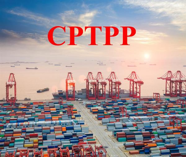 Hôm nay CPTPP có hiệu lực, cần lưu ý những gì?