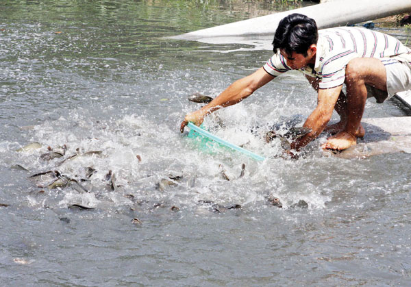 Xuất khẩu thủy sản &quot;chông chênh&quot; đầu năm