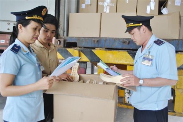 Bộ Tài chính trả lời Đoàn đại biểu Quốc hội TP. Hồ Chí Minh về kiểm tra chuyên ngành