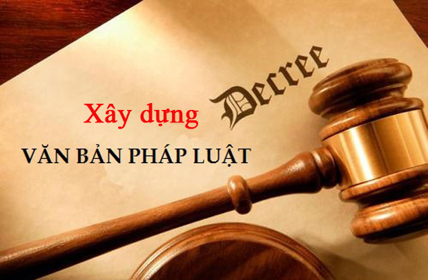 Đảm bảo chất lượng, đúng tiến độ trong tham mưu soạn thảo văn bản QPPL