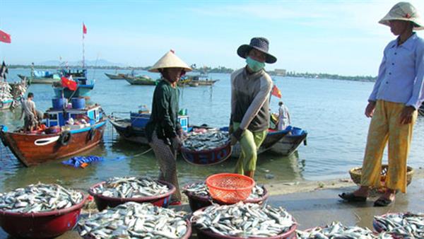 Chính sách hỗ trợ hoạt động khai thác hải sản