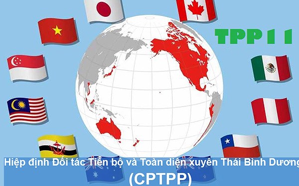 viet nam trong doi gi tu hiep dinh cptpp