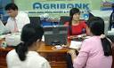 Nợ xấu ở Agribank Bắc Kạn chủ yếu là của DN