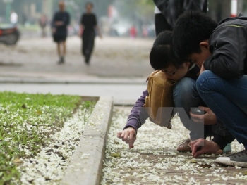 mien bac cham dut nang nong don khong khi lanh vao cuoi tuan