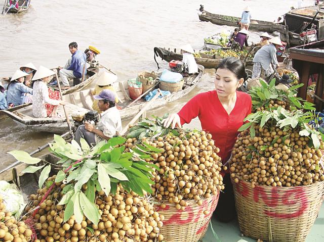 thieu chien luoc xay dung thuong hieu nong san viet nam