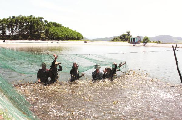 Doanh Nghiệp thủy sản hội nhập: Phải bước qua... kháng sinh