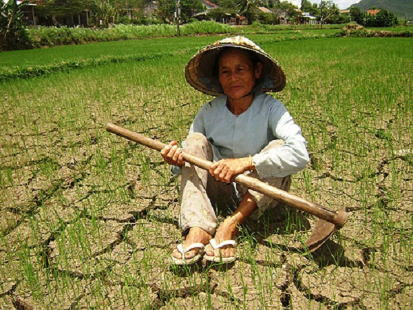 Hạn hán, giá dầu khiến tăng trưởng quý I