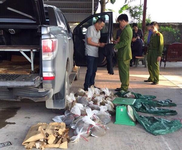 no sung bat giu doi tuong van chuyen dong vat hoang da