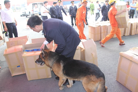 lan dau bat giu gan 3 tan la khat tai hai phong