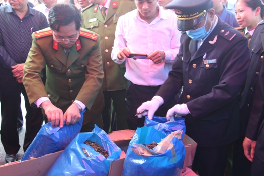 lan dau bat giu gan 3 tan la khat tai hai phong