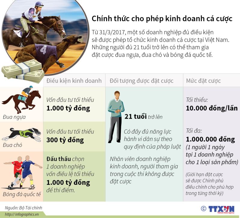 infographics chinh thuc cho phep to chuc kinh doanh ca cuoc