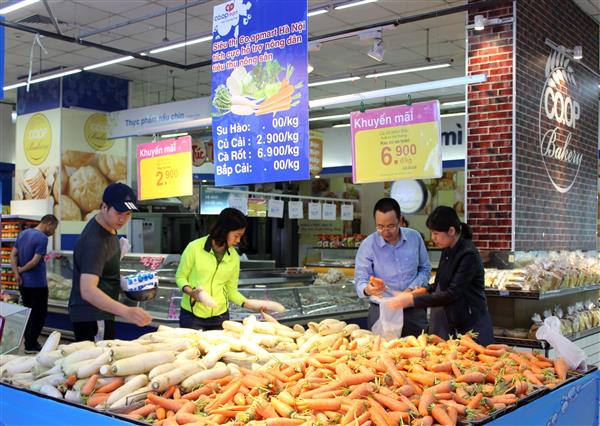 Saigon Co.op: Giải cứu hàng trăm tấn nông sản có nguy cơ ùn ứ