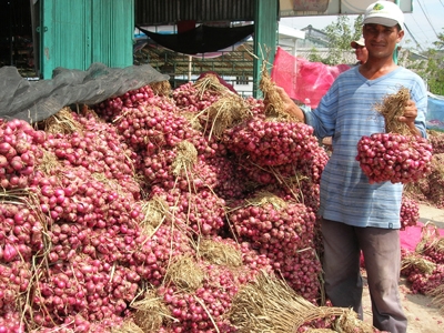 Bộ Công Thương yêu cầu doanh nghiệp tiêu thụ hành tím