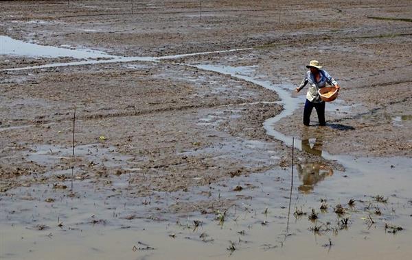 Hết tháng 4, giải quyết cơ bản xâm nhập mặn tại ĐBSCL