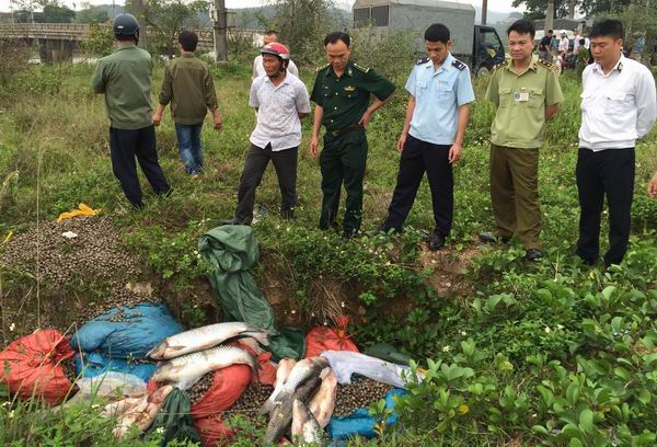 tieu huy gan 3 tan ca tram nhap lau tu trung quoc