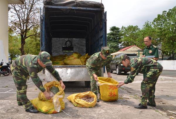 Biên phòng Quảng Ninh: Bắt giữ 300 kg chân gà đang trong quá trình phân hủy