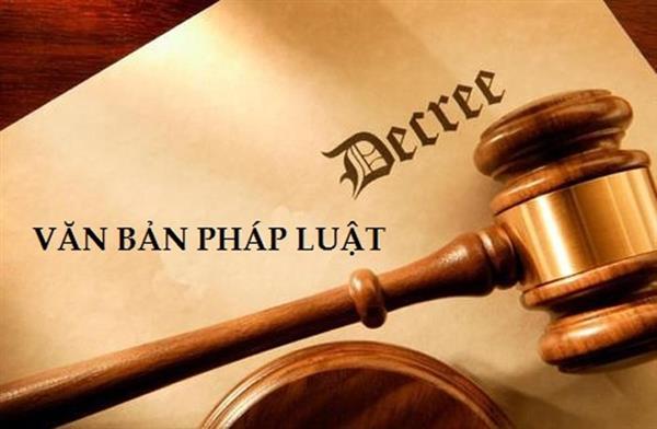 Xây dựng Luật Thuế tài sản: Mới đang ở &quot;khâu&quot; đề nghị