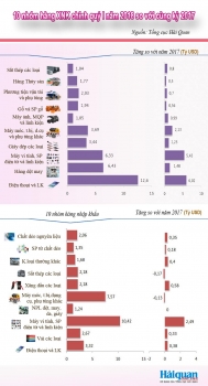 infographics 10 nhom hang xuat nhap khau chinh quy i2018