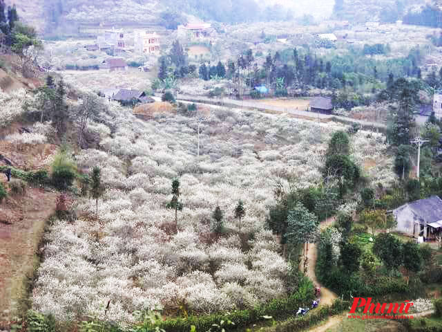 thang co bac ha lam say long du khach