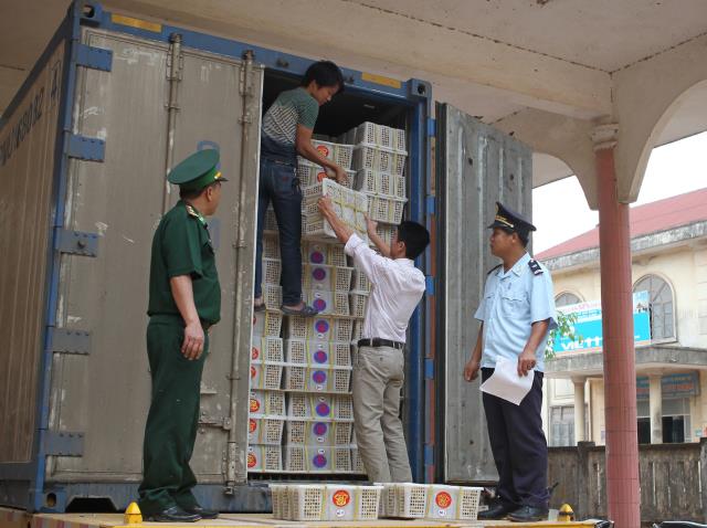 cach moi khi trien khai luat hai quan tai hai quan quang binh