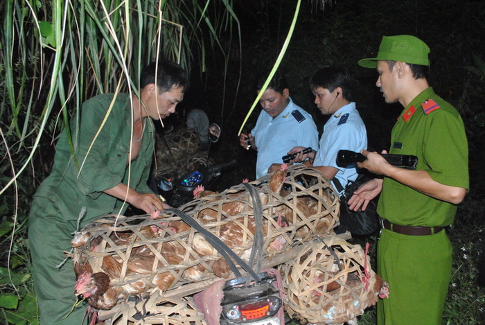 lang son gia cam lau van phuc tap