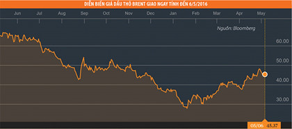 gia dau tang co hoi voi co phieu dau khi