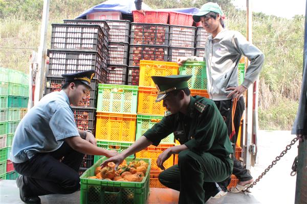 Nông sản trong nước sẽ bị tác động nếu hạn chế nhập hàng qua Lạng Sơn?