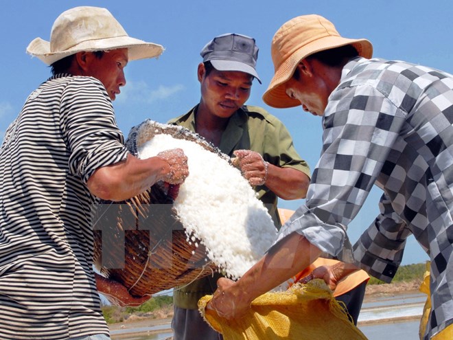 Bộ Nông nghiệp: Muối bán trên thị trường là sản phẩm từ vụ trước