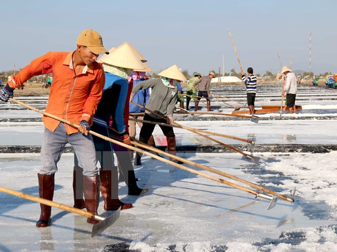 bo nong nghiep muoi ban tren thi truong la san pham tu vu truoc