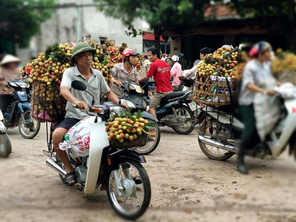 Chất lượng nông sản “xuất ngoại”